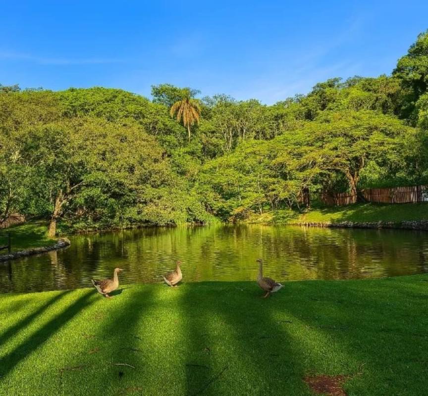 Fazenda, Condomínio Nossa Fazenda, 3 Quartos, 4 Vagas, 1 Suíte