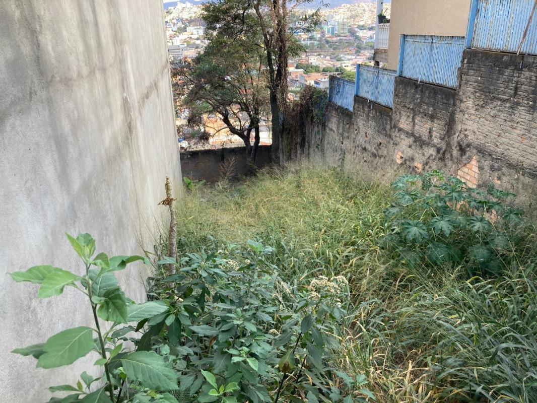 Lote, Industrial, 0 Quarto, 0 Vaga