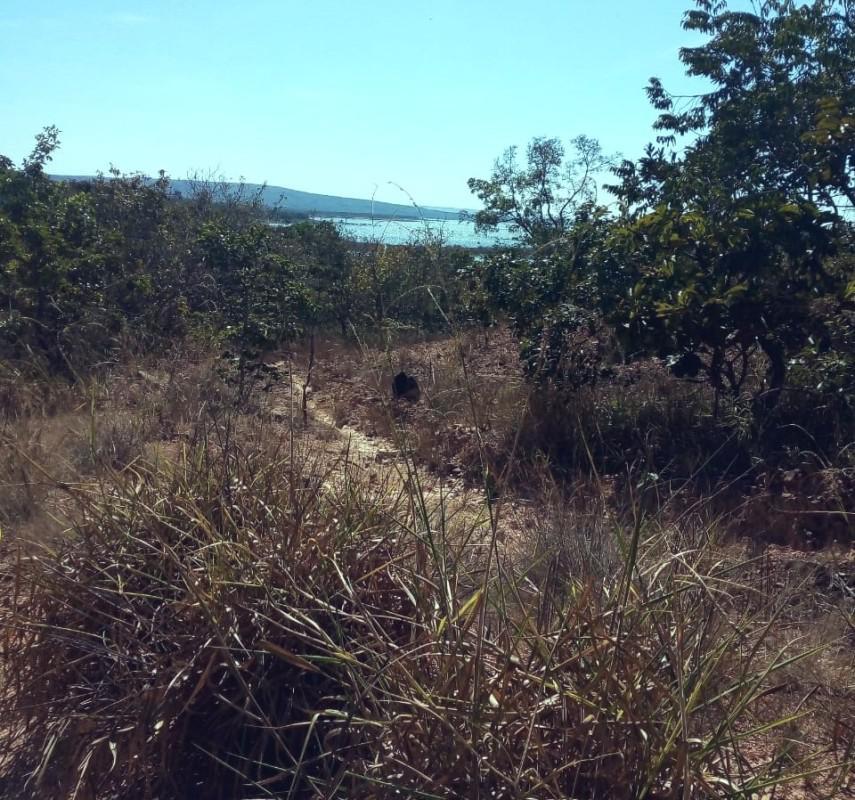 Fazenda, Zona Rural, 0 Quarto, 0 Vaga