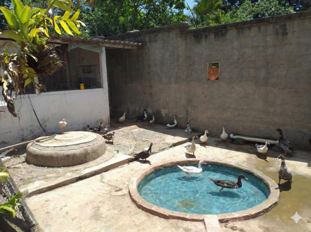 Fazenda, Tropeiros, 3 Quartos, 6 Vagas, 1 Suíte