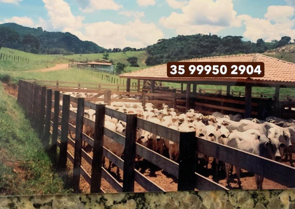 Fazenda, Zona Rural, 0 Quarto, 0 Vaga