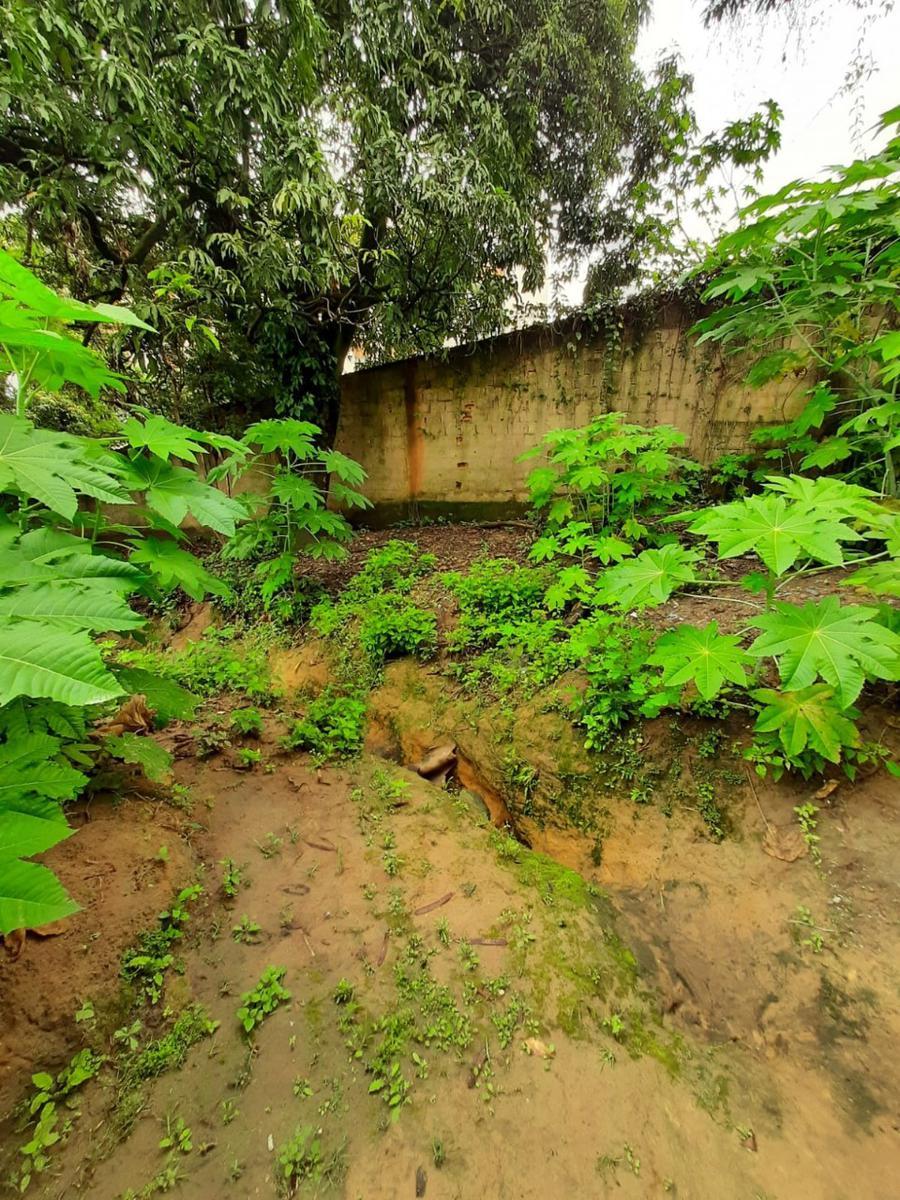 Lote, Alvorada, 0 Quarto, 0 Vaga