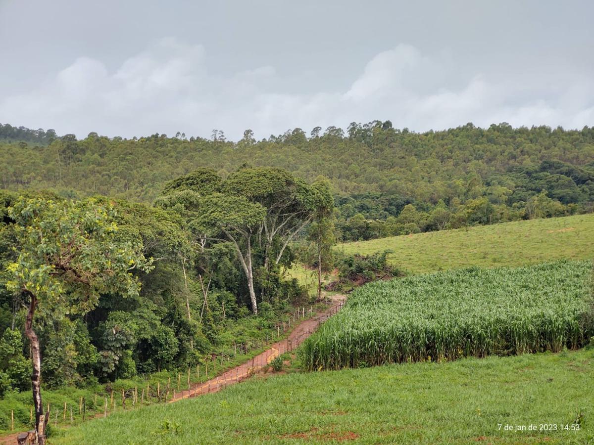 Fazenda, Centro, 3 Quartos, 4 Vagas, 1 Suíte
