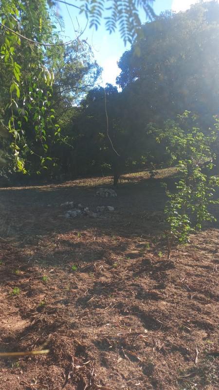 Lote, Bom Retiro, 0 Quarto, 0 Vaga