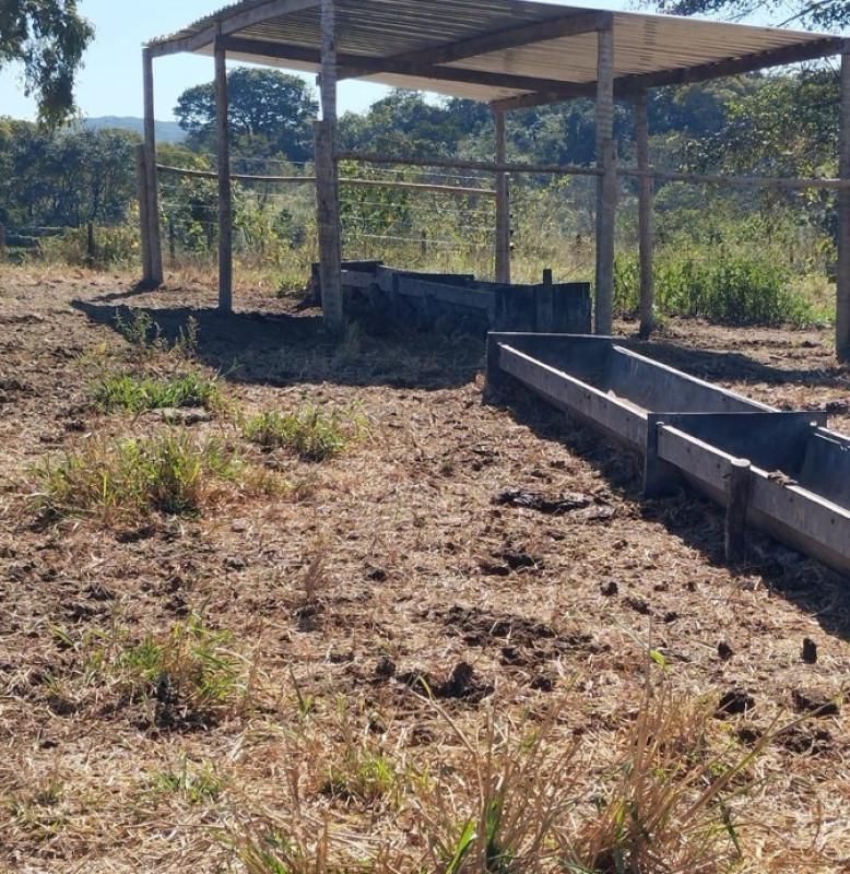 Fazenda, Área Rural de Pará de Minas, 0 Quarto, 0 Vaga