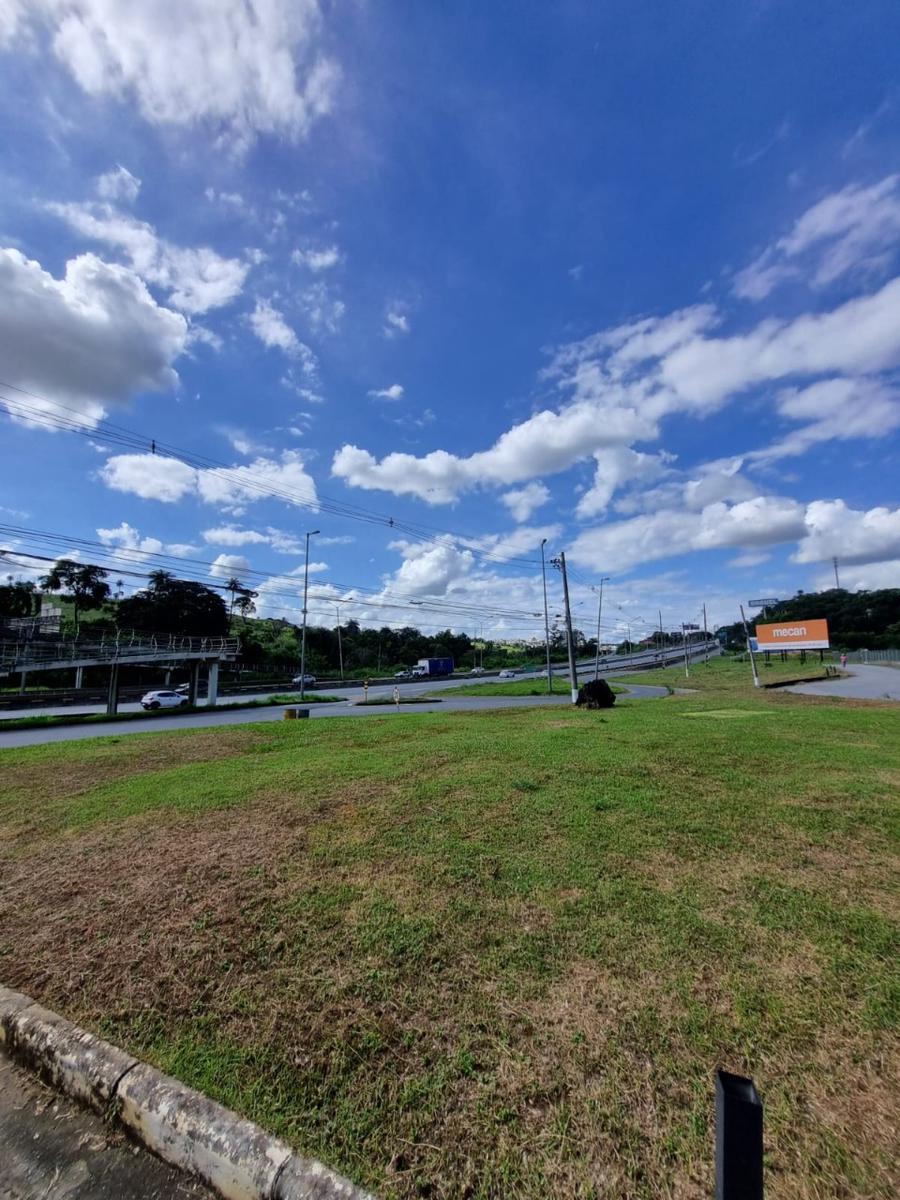 Lote, Angicos, 0 Quarto, 0 Vaga