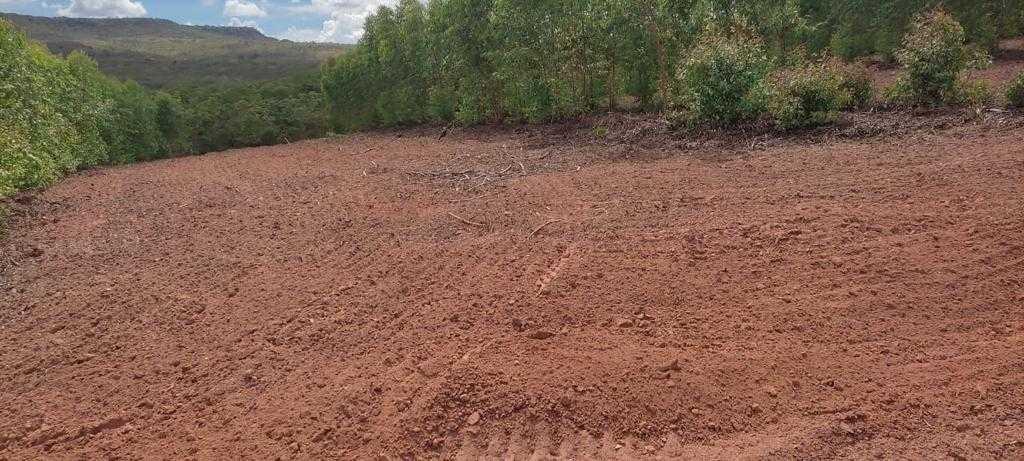 Fazenda, Zona Rural, 3 Quartos, 0 Vaga