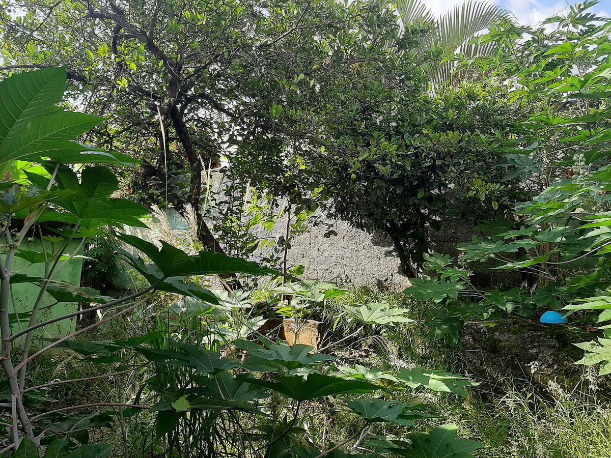 Casa, Pindorama, 3 Quartos, 0 Vaga