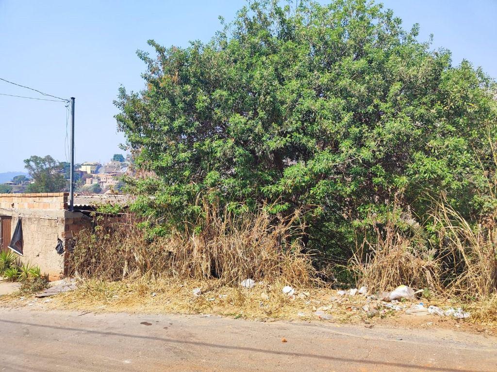 Lote, Nossa Senhora de Fátima, 0 Quarto, 0 Vaga