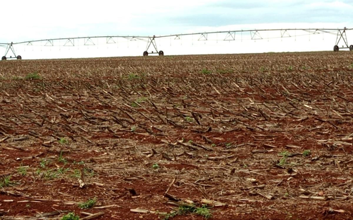 Fazenda, Zona Rural, 0 Quarto, 0 Vaga