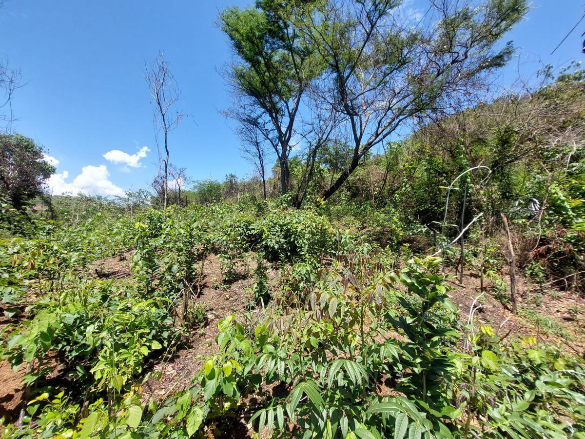 Casa, Santana, 2 Quartos, 2 Vagas