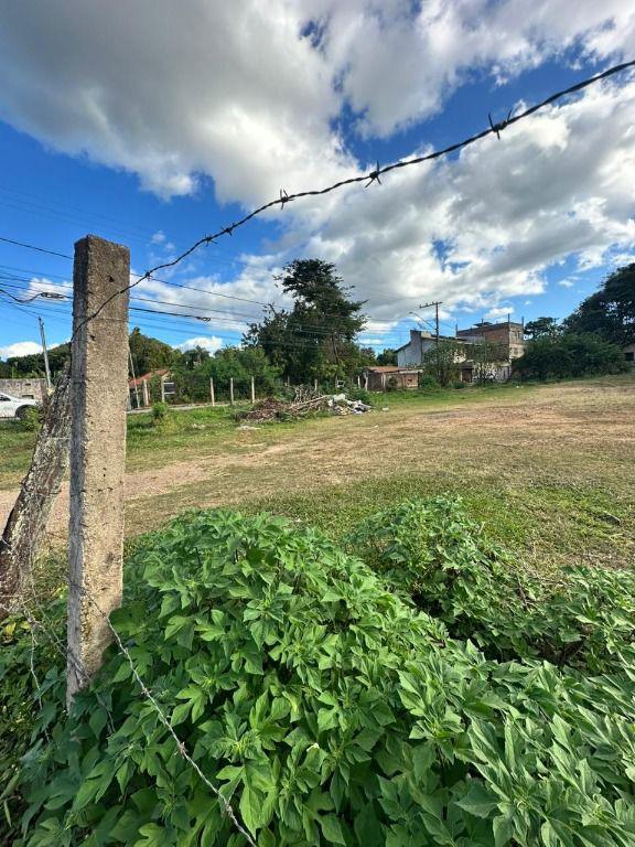 Lote, Paciência, 0 Quarto, 0 Vaga