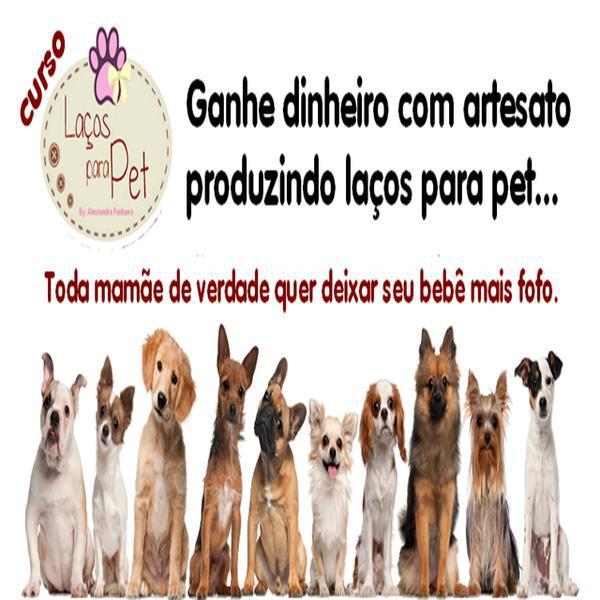 Curso Laço Para Pet