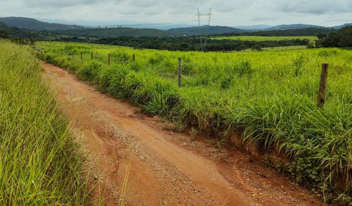 Fazenda, Zona Rural, 5 Quartos, 0 Vaga