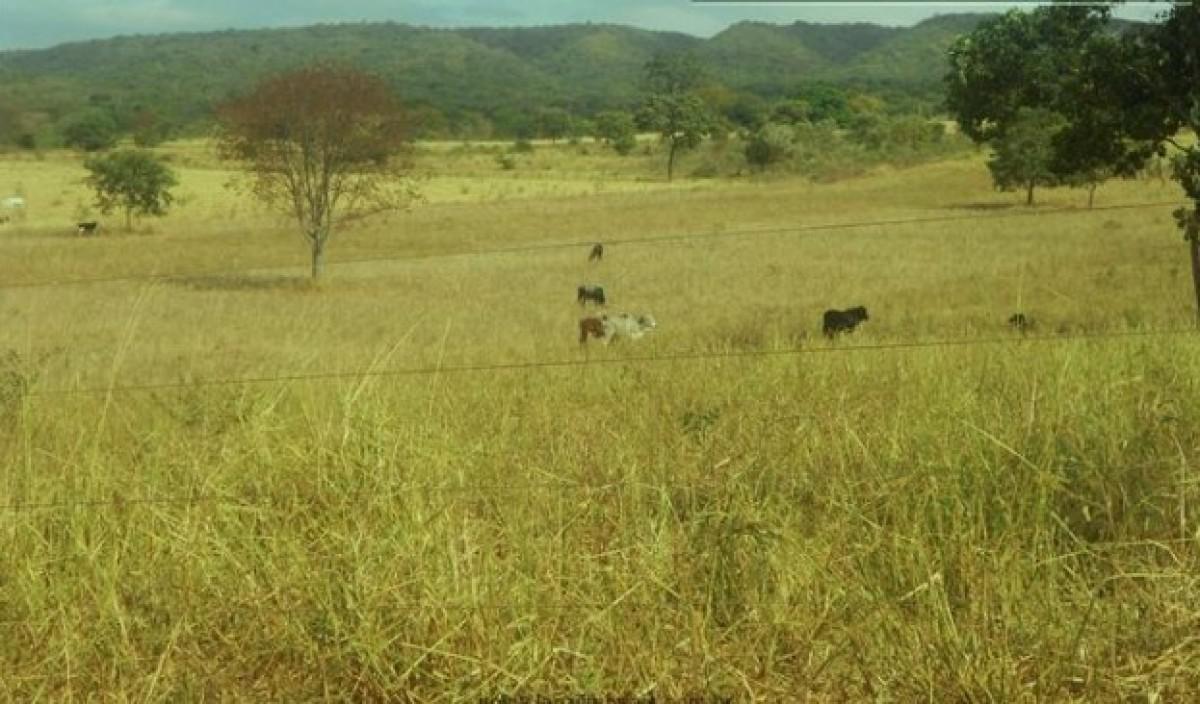 Fazenda, Zona Rural, 0 Quarto, 0 Vaga