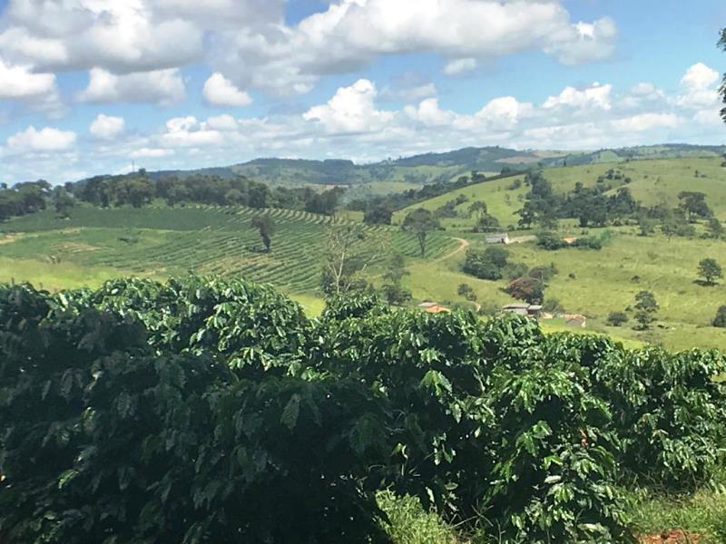 Fazenda, Zona Rural, 0 Quarto, 0 Vaga