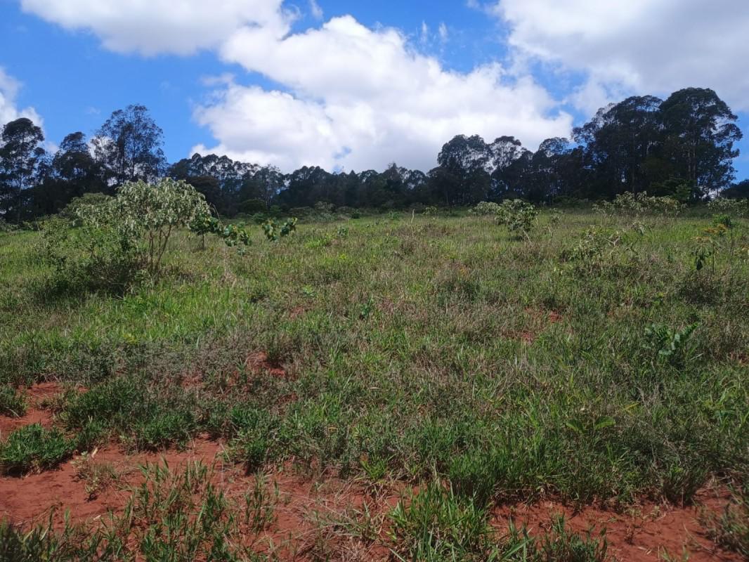 Fazenda, Zona Rural, 0 Quarto, 0 Vaga