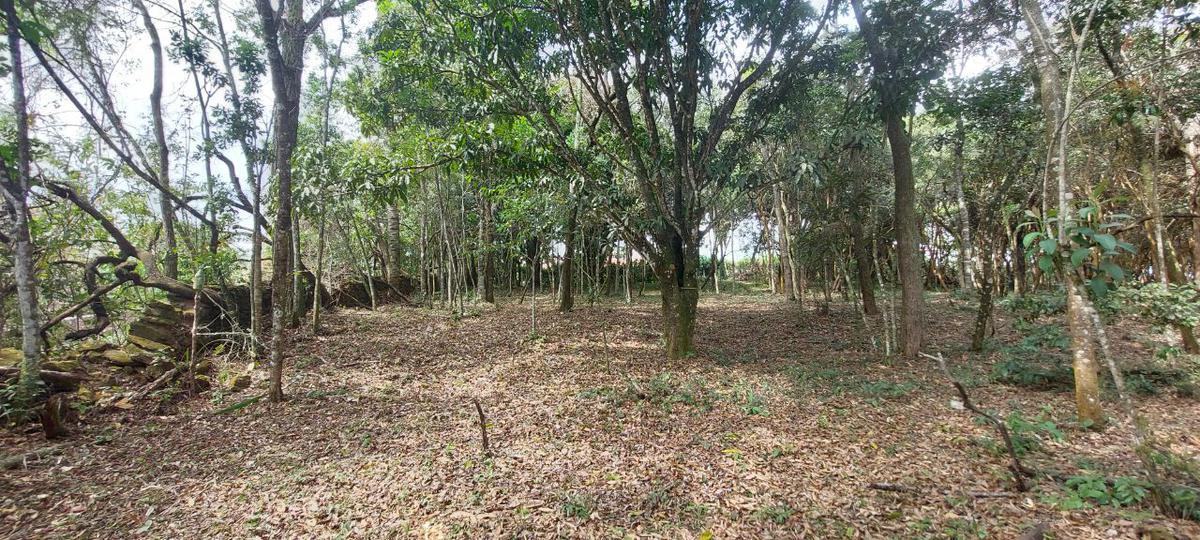 Lote, Acurui, 0 Quarto, 0 Vaga