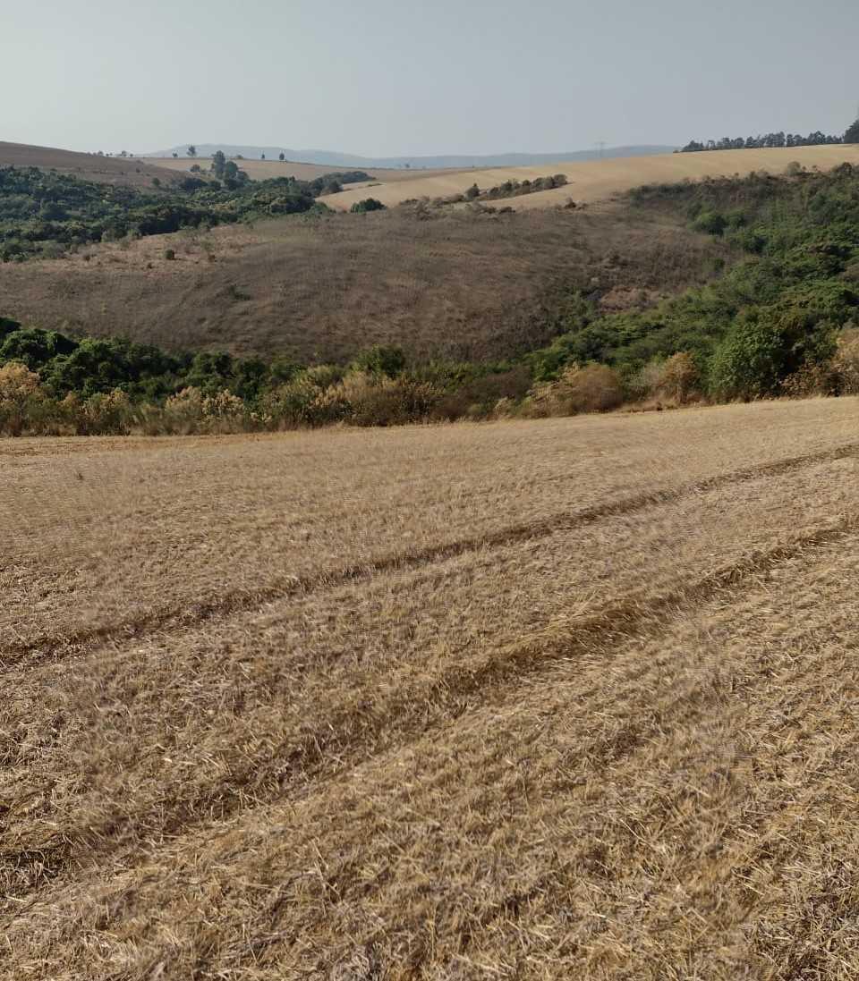 Fazenda, Zona Rural, 1 Quarto, 0 Vaga