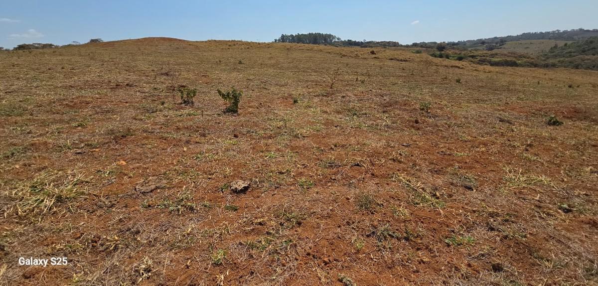 Fazenda, Centro, 1 Quarto, 21 Vagas, 1 Suíte
