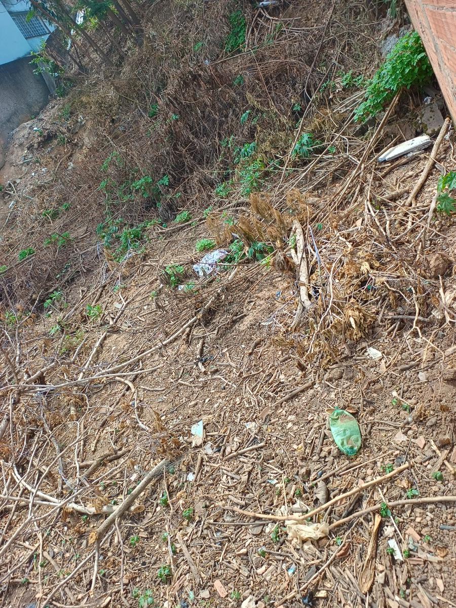 Lote, Colonial, 0 Quarto, 0 Vaga