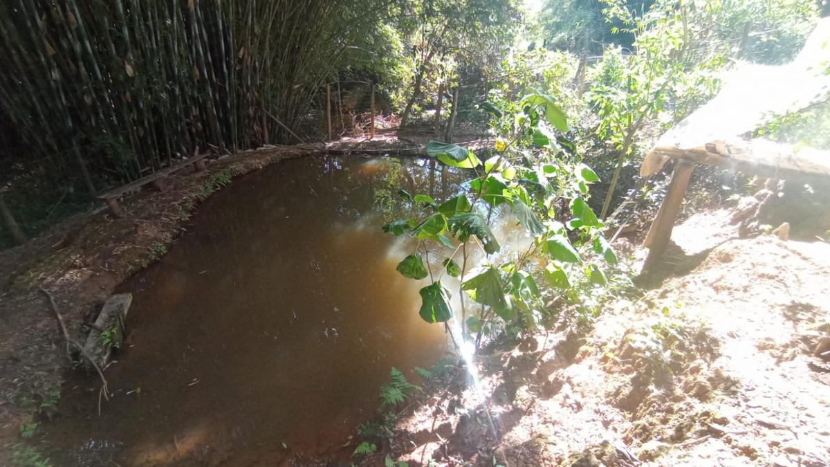 Fazenda, Zona Rural, 3 Quartos, 4 Vagas