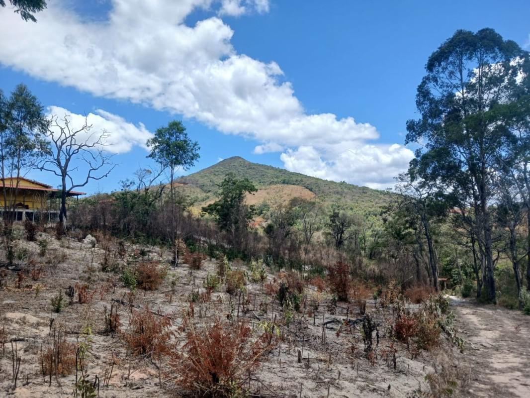 Lote, Roças Novas, 0 Quarto, 0 Vaga