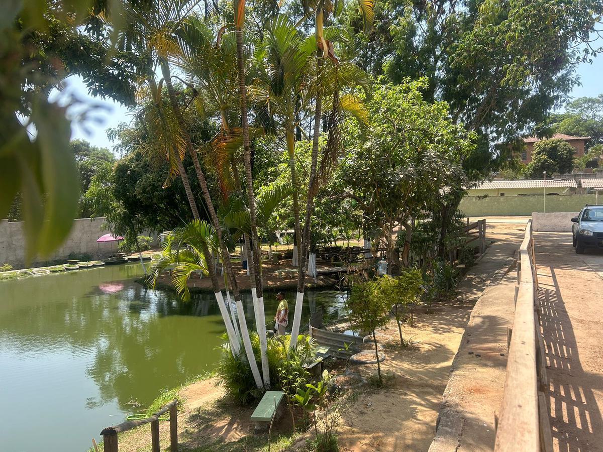 Lote, Trevo, 5 Quartos, 5 Vagas