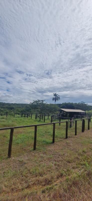 Fazenda, Centro, 0 Quarto, 0 Vaga