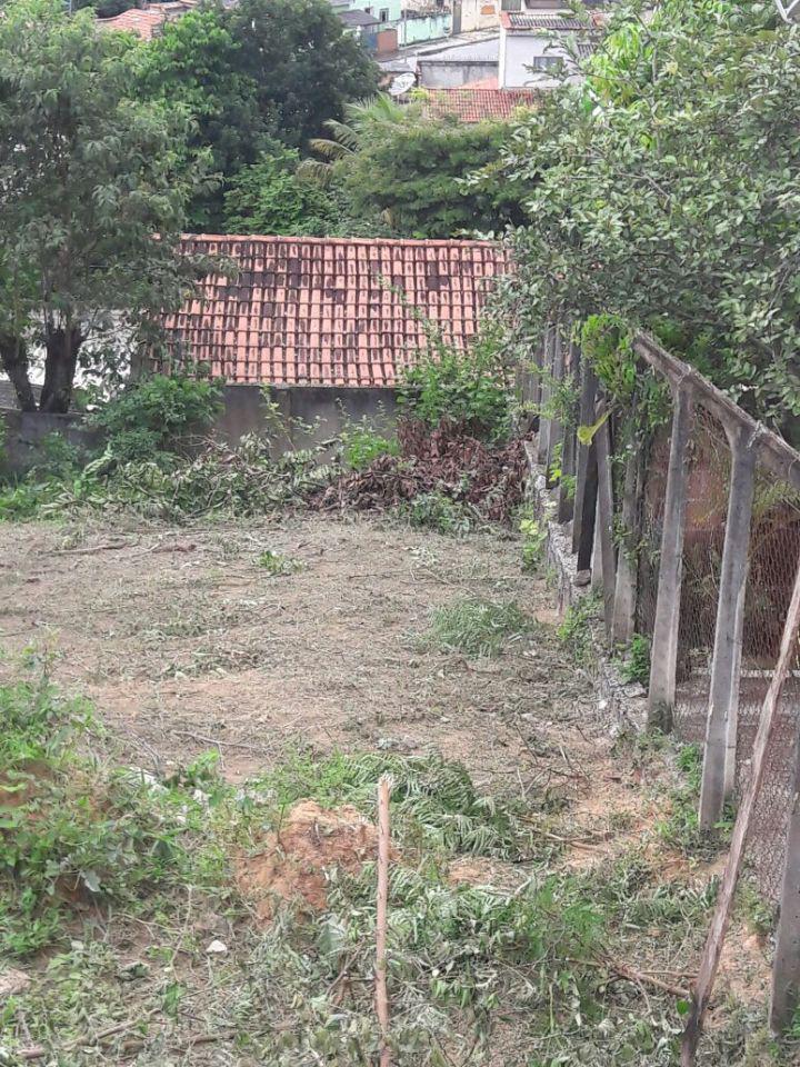 Lote, Salomé, 0 Quarto, 0 Vaga