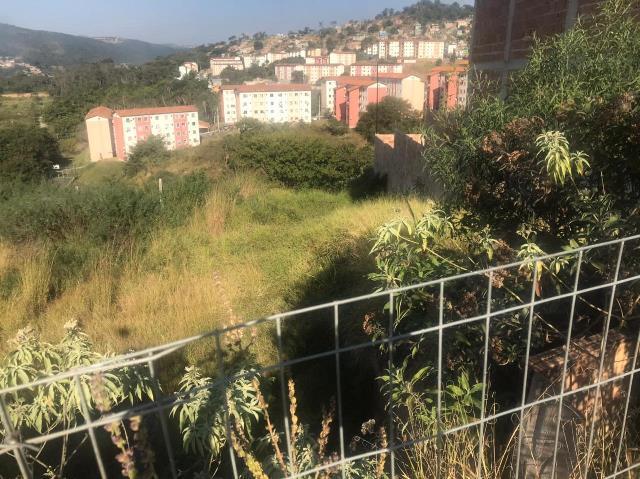 Lote, Jardim Vitória, 0 Quarto, 0 Vaga