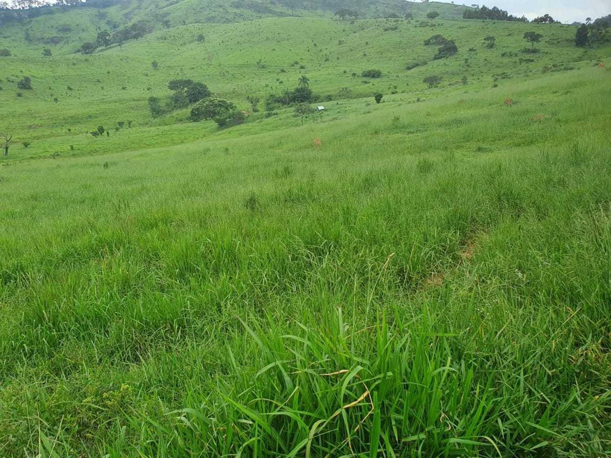 Fazenda, Zona Rural, 4 Quartos, 0 Vaga
