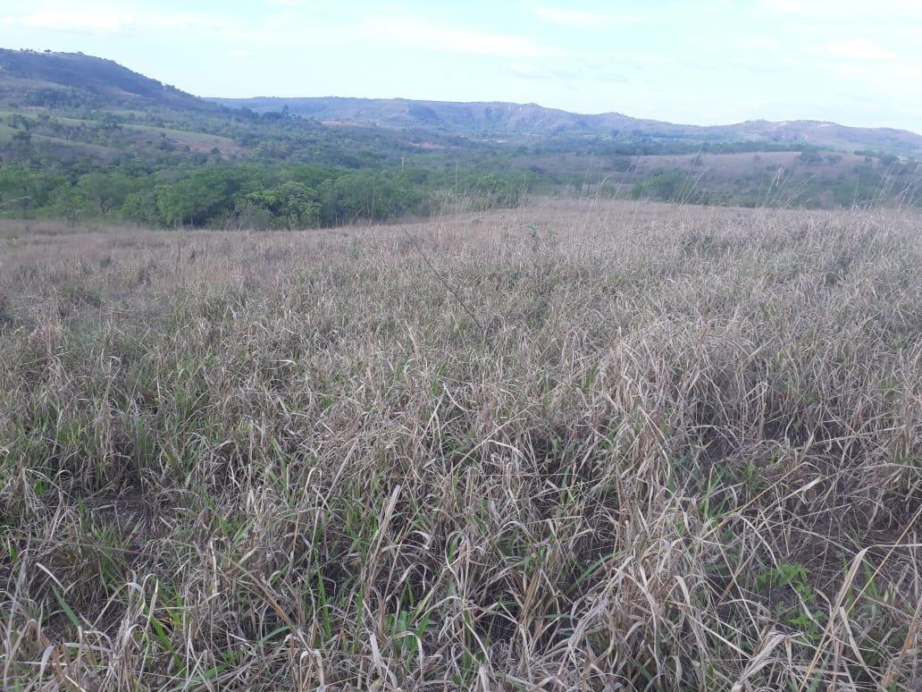 Fazenda, Centro, 3 Quartos, 0 Vaga