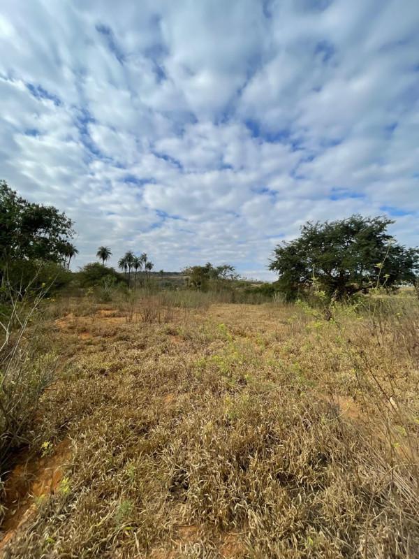 Lote, Lagoa dos Mares, 0 Quarto, 0 Vaga