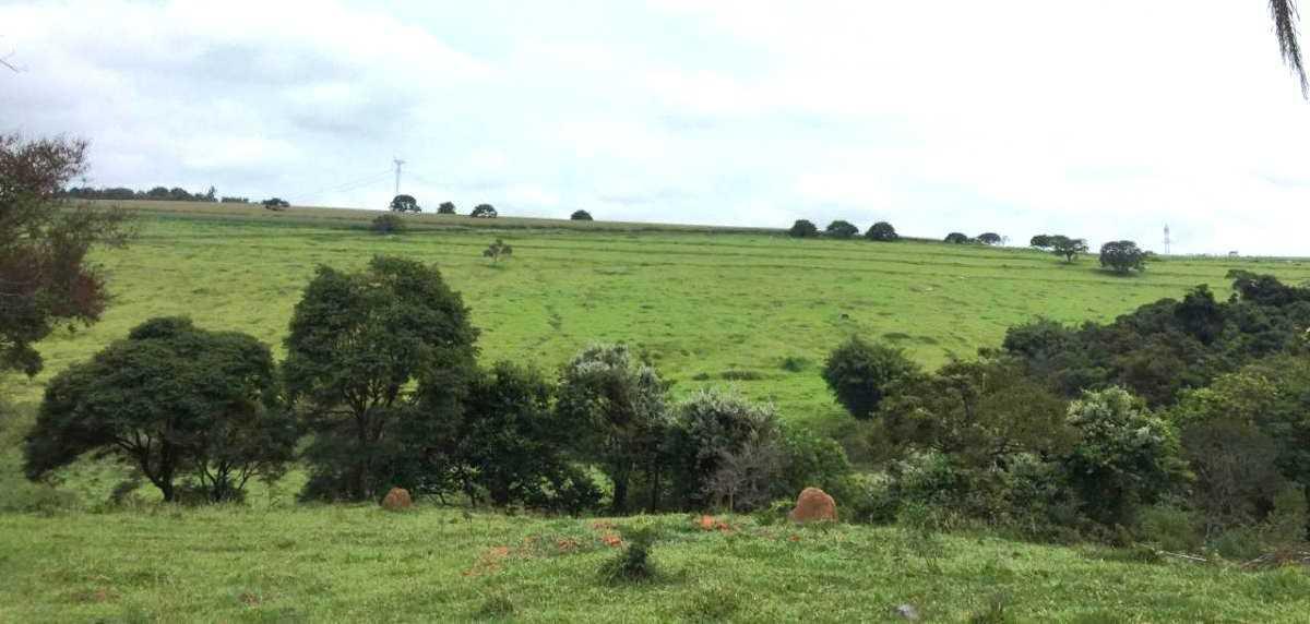 Fazenda, Zona Rural, 4 Quartos, 0 Vaga