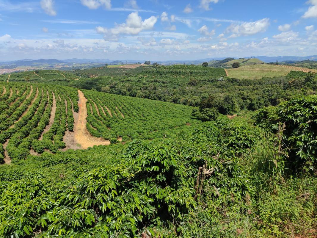 Fazenda, Zona Rural, 0 Quarto, 0 Vaga