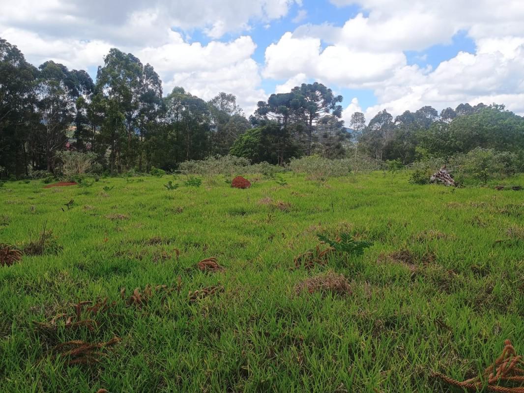 Fazenda, Zona Rural, 0 Quarto, 0 Vaga
