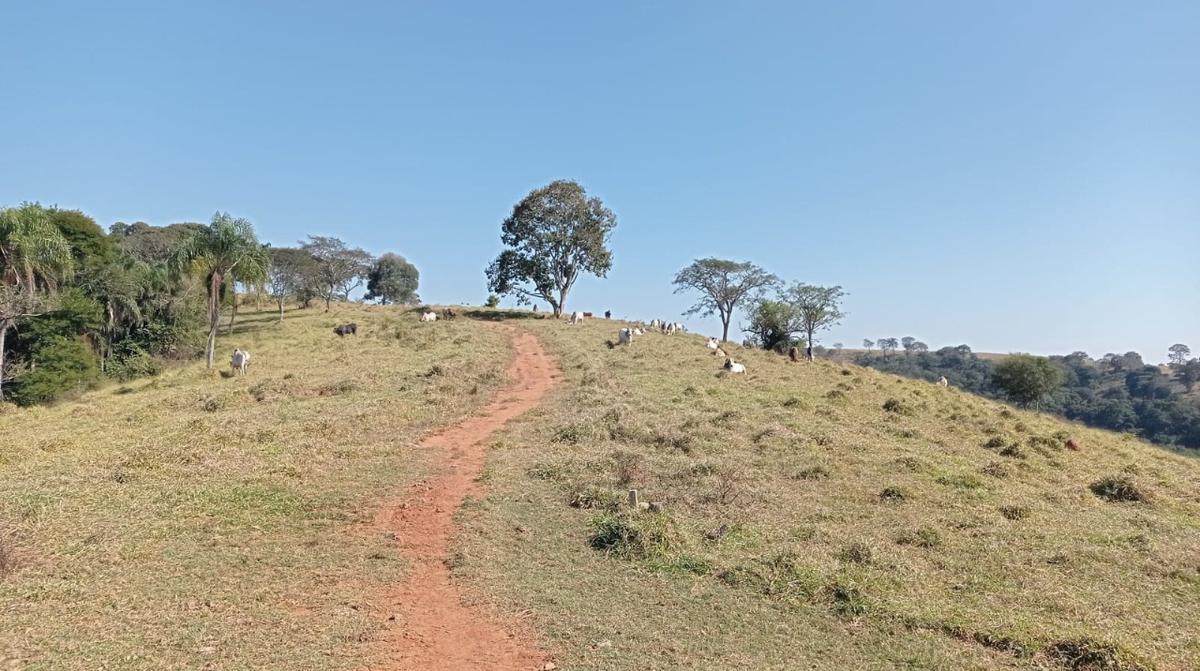 Fazenda, Zona Rural, 0 Quarto, 0 Vaga
