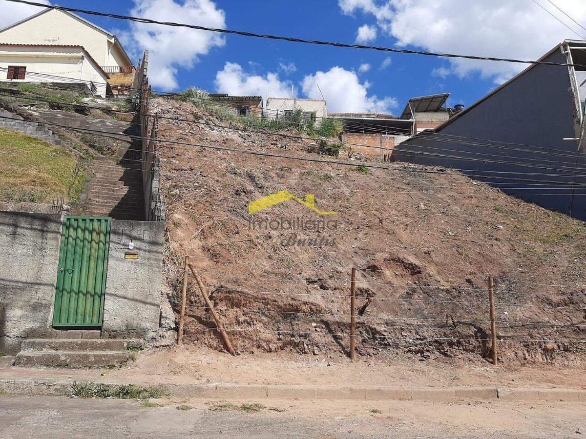 Lote, Palmeiras