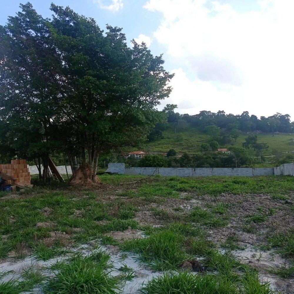 Fazenda, Aranha, 0 Quarto, 0 Vaga