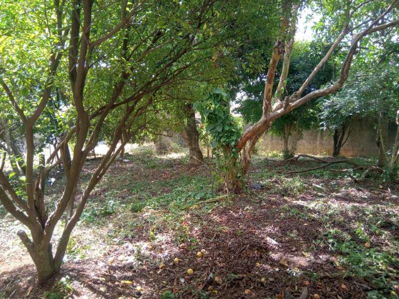 Lote, Jardim Sion, 0 Quarto, 0 Vaga