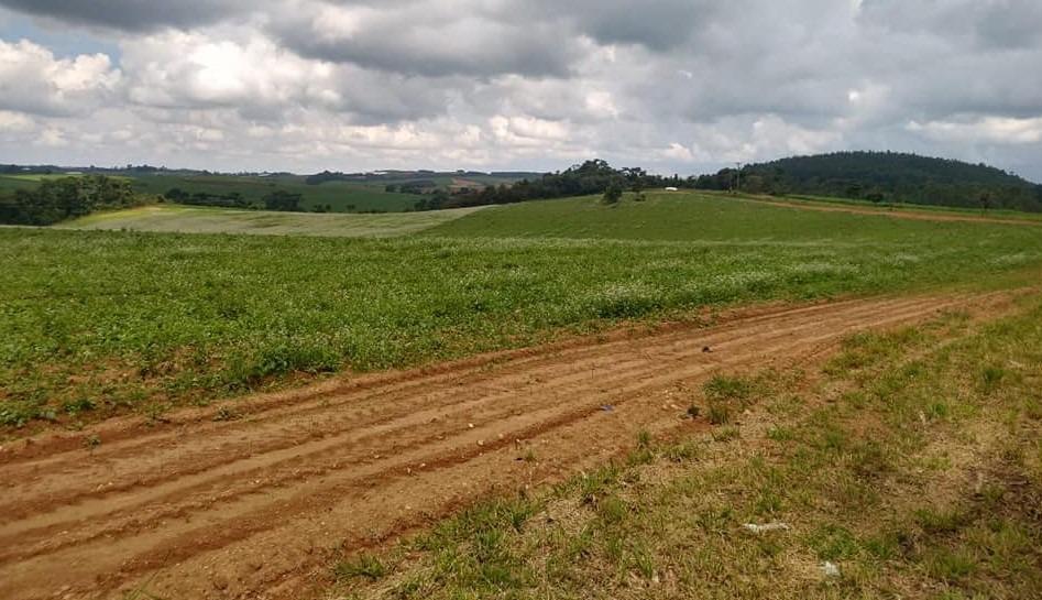 Fazenda, Zona Rural, 6 Quartos, 0 Vaga, 2 Suítes