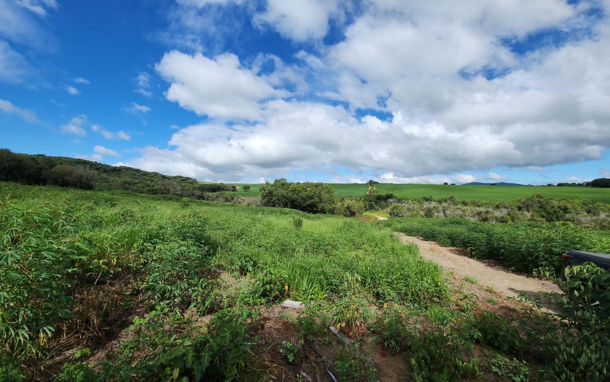 Fazenda, Centro, 1 Quarto, 1 Vaga