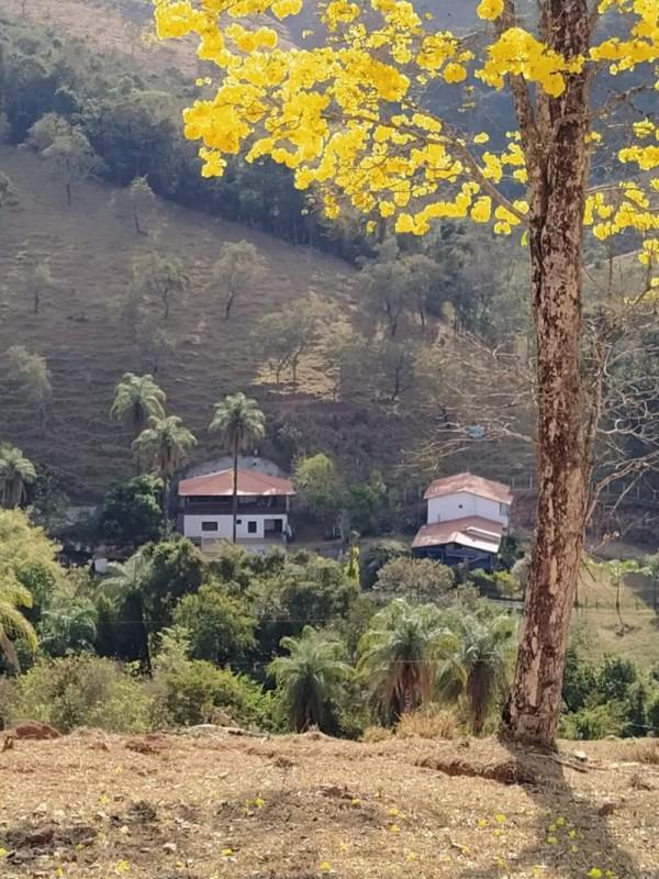 Fazenda, Souza, 6 Quartos, 4 Vagas