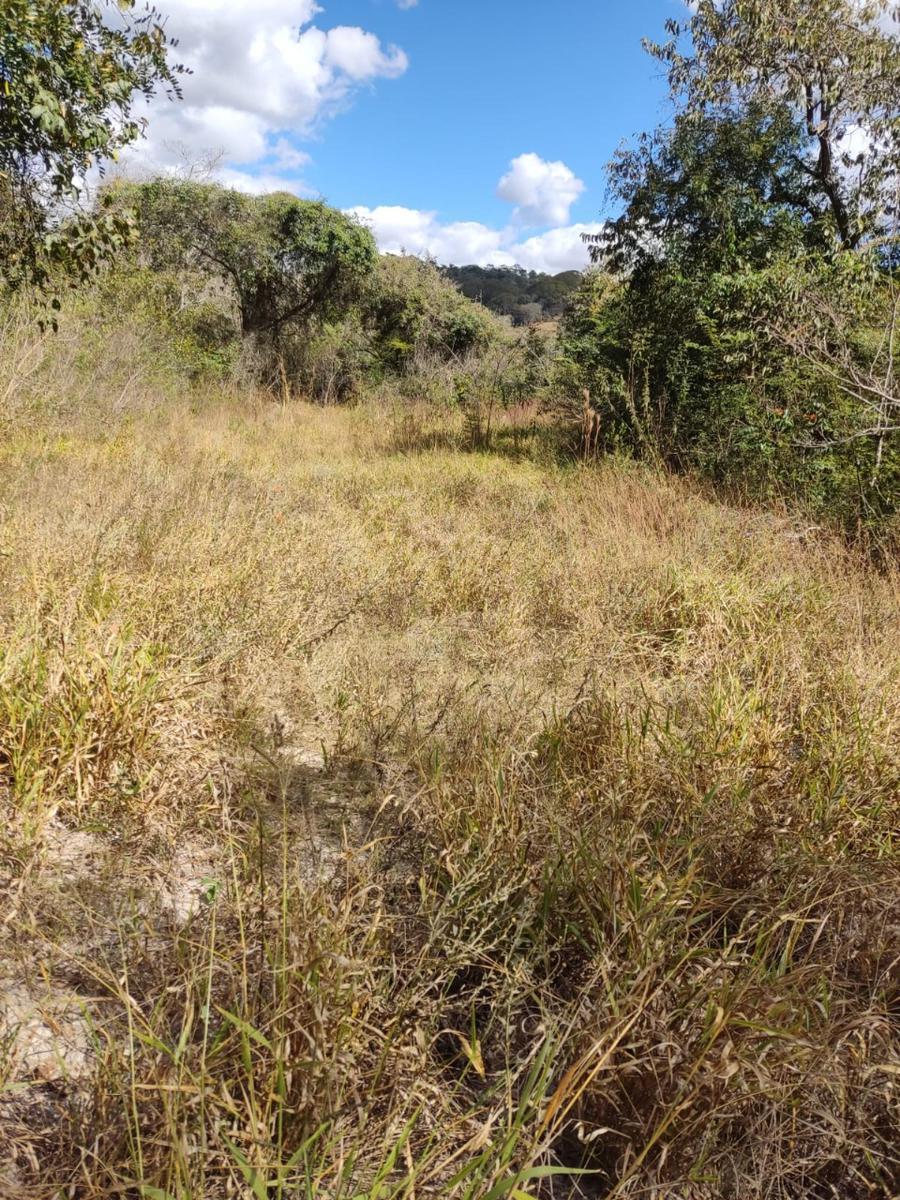 Lote, Centro, 0 Quarto, 0 Vaga