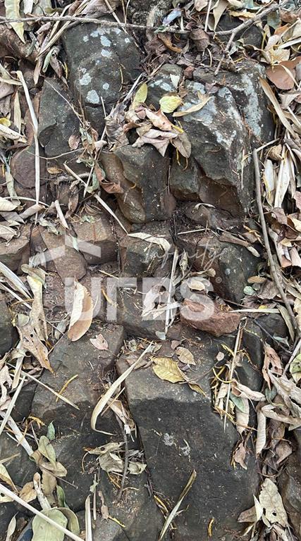 Rural, Centro, 0 Quarto, 0 Vaga, 0 Suíte