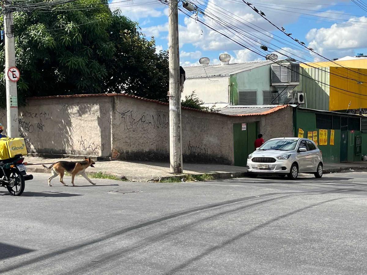 Casa, Glória, 4 Quartos, 5 Vagas