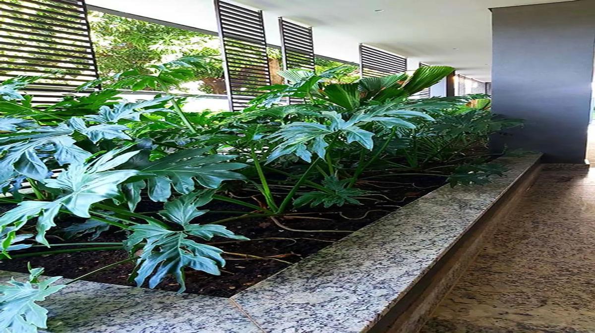 Apartamento, Sagrada Família, 3 Quartos, 2 Vagas, 1 Suíte