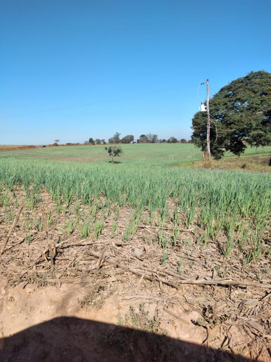 Fazenda, Zona Rural, 1 Quarto, 1 Vaga, 1 Suíte