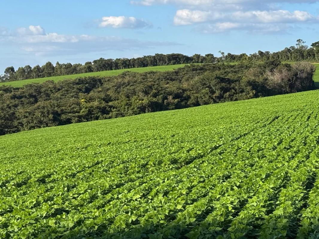 Fazenda, Zona Rural, 0 Quarto, 0 Vaga